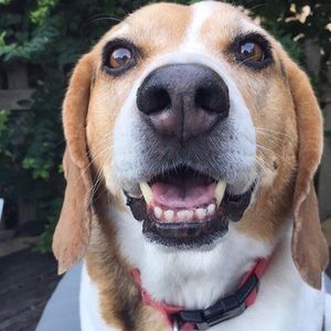 Meet your Posher, Delaney